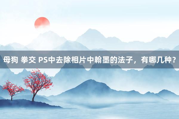 母狗 拳交 PS中去除相片中翰墨的法子，有哪几种？