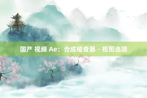 国产 视频 Ae：合成稽查器 - 视图选项