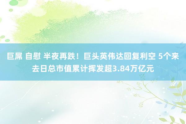 巨屌 自慰 半夜再跌！巨头英伟达回复利空 5个来去日总市值累计挥发超3.84万亿元