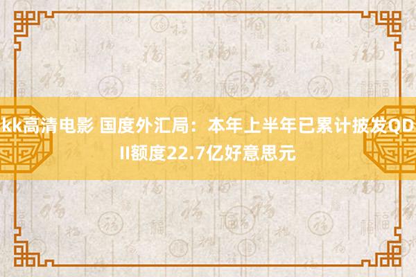 kk高清电影 国度外汇局：本年上半年已累计披发QDII额度22.7亿好意思元