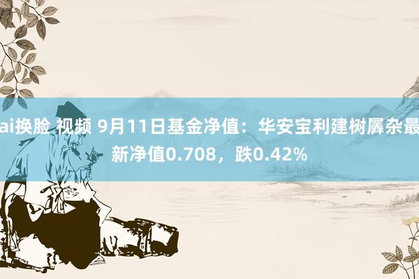 ai换脸 视频 9月11日基金净值：华安宝利建树羼杂最新净值0.708，跌0.42%