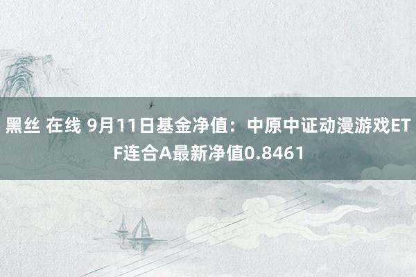 黑丝 在线 9月11日基金净值：中原中证动漫游戏ETF连合A最新净值0.8461