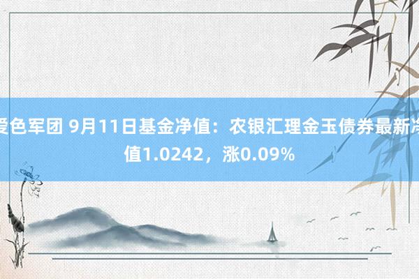 爱色军团 9月11日基金净值：农银汇理金玉债券最新净值1.0242，涨0.09%