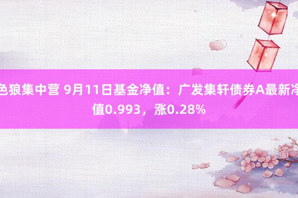 色狼集中营 9月11日基金净值：广发集轩债券A最新净值0.993，涨0.28%