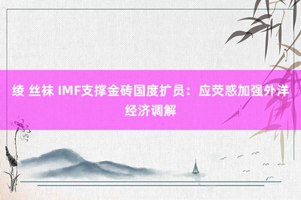 绫 丝袜 IMF支撑金砖国度扩员：应荧惑加强外洋经济调解