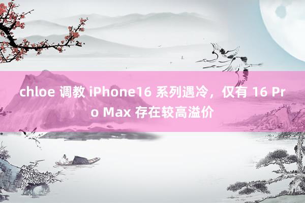 chloe 调教 iPhone16 系列遇冷，仅有 16 Pro Max 存在较高溢价