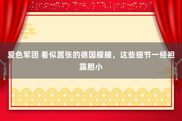 爱色军团 看似嚣张的德国艨艟，这些细节一经袒露胆小