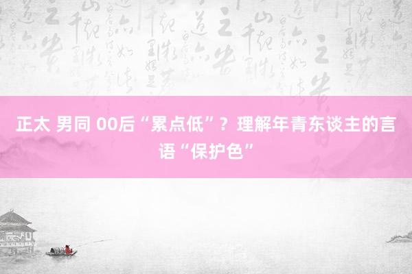 正太 男同 00后“累点低”？理解年青东谈主的言语“保护色”