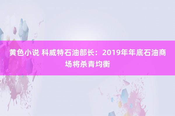 黄色小说 科威特石油部长：2019年年底石油商场将杀青均衡