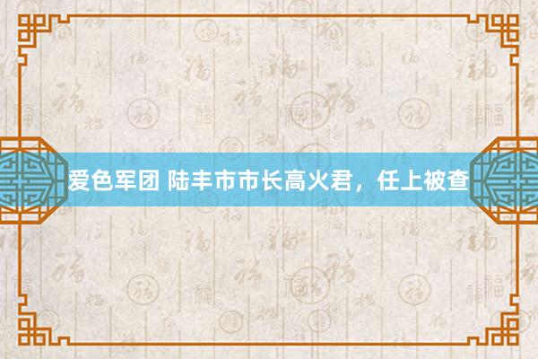 爱色军团 陆丰市市长高火君，任上被查