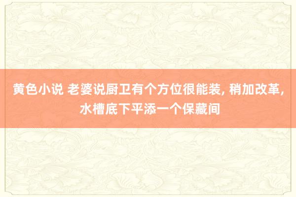 黄色小说 老婆说厨卫有个方位很能装， 稍加改革， 水槽底下平添一个保藏间