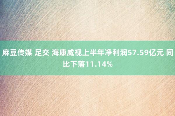 麻豆传媒 足交 海康威视上半年净利润57.59亿元 同比下落11.14%