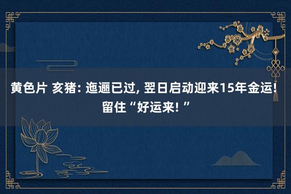 黄色片 亥猪: 迤逦已过， 翌日启动迎来15年金运! 留住“好运来! ”