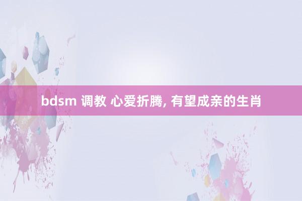 bdsm 调教 心爱折腾， 有望成亲的生肖