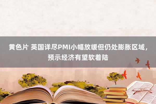 黄色片 英国详尽PMI小幅放缓但仍处膨胀区域，预示经济有望软着陆