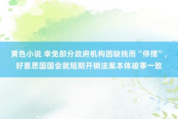 黄色小说 幸免部分政府机构因缺钱而“停摆”，好意思国国会就短期开销法案本体竣事一致