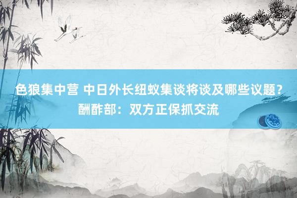 色狼集中营 中日外长纽蚁集谈将谈及哪些议题？酬酢部：双方正保抓交流