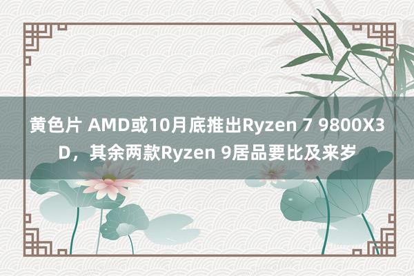 黄色片 AMD或10月底推出Ryzen 7 9800X3D，其余两款Ryzen 9居品要比及来岁