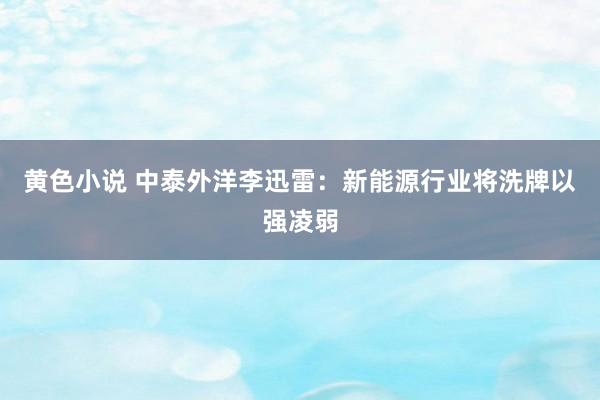 黄色小说 中泰外洋李迅雷：新能源行业将洗牌以强凌弱