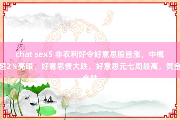 chat sex5 非农利好令好意思股皆涨，中概涨超2%亮眼，好意思债大跌，好意思元七周最高，黄金跌