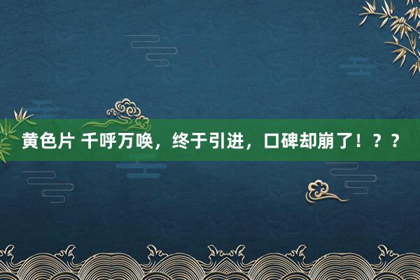 黄色片 千呼万唤，终于引进，口碑却崩了！？？