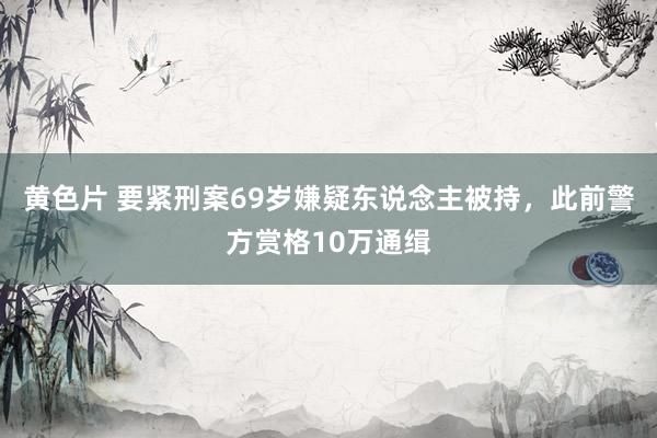 黄色片 要紧刑案69岁嫌疑东说念主被持，此前警方赏格10万通缉