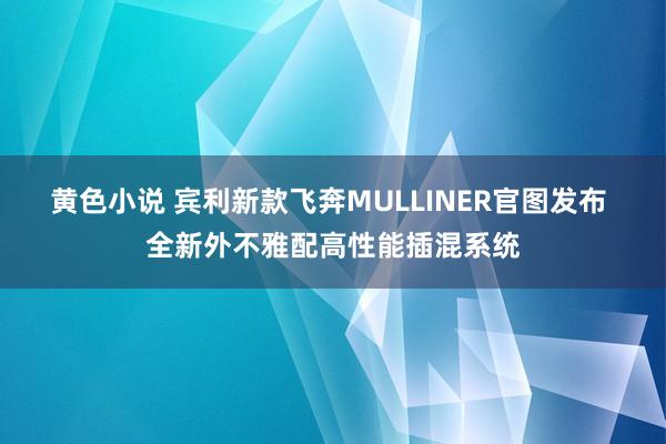 黄色小说 宾利新款飞奔MULLINER官图发布 全新外不雅配高性能插混系统