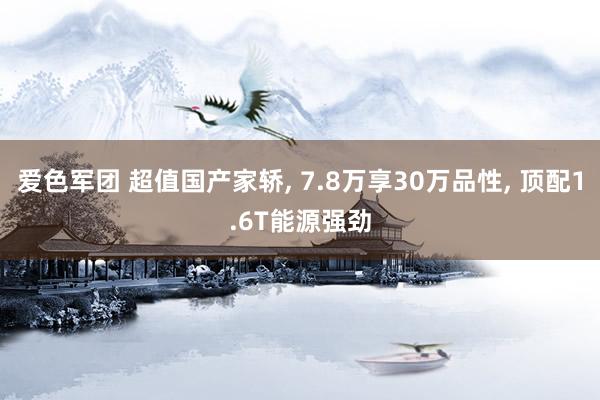 爱色军团 超值国产家轿， 7.8万享30万品性， 顶配1.6T能源强劲