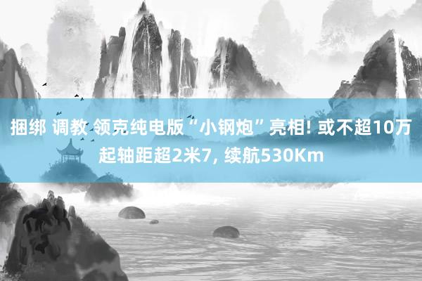 捆绑 调教 领克纯电版“小钢炮”亮相! 或不超10万起轴距超2米7， 续航530Km