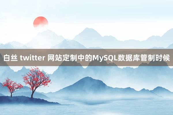 白丝 twitter 网站定制中的MySQL数据库管制时候