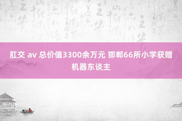 肛交 av 总价值3300余万元 邯郸66所小学获赠机器东谈主