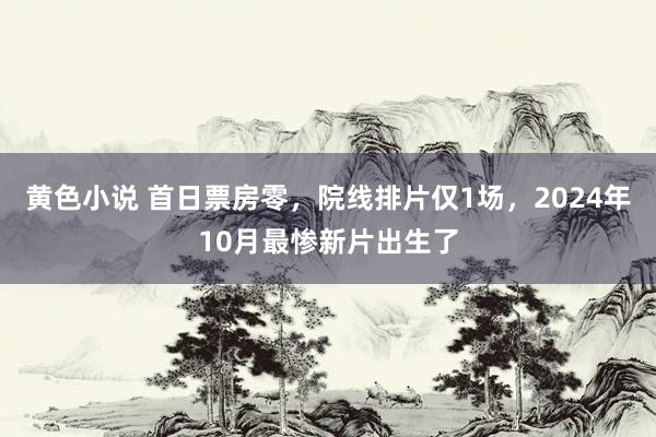 黄色小说 首日票房零，院线排片仅1场，2024年10月最惨新片出生了