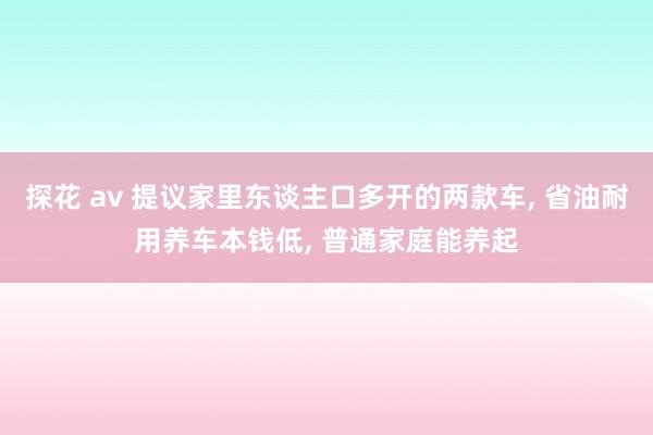 探花 av 提议家里东谈主口多开的两款车， 省油耐用养车本钱低， 普通家庭能养起