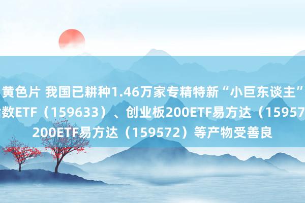 黄色片 我国已耕种1.46万家专精特新“小巨东谈主”企业 中证1000指数ETF（159633）、创业板200ETF易方达（159572）等产物受善良