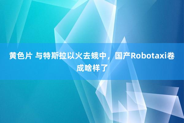 黄色片 与特斯拉以火去蛾中，国产Robotaxi卷成啥样了