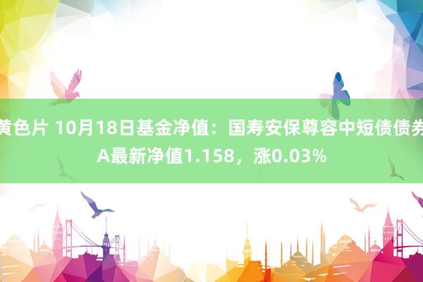 黄色片 10月18日基金净值：国寿安保尊容中短债债券A最新净值1.158，涨0.03%