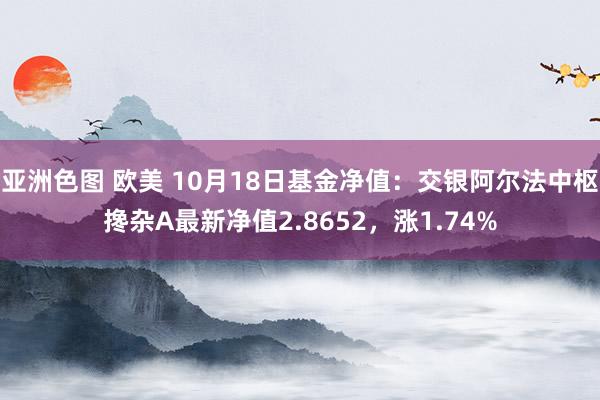 亚洲色图 欧美 10月18日基金净值：交银阿尔法中枢搀杂A最新净值2.8652，涨1.74%