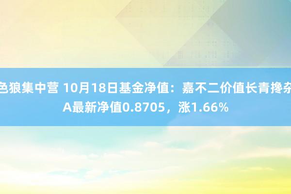 色狼集中营 10月18日基金净值：嘉不二价值长青搀杂A最新净值0.8705，涨1.66%