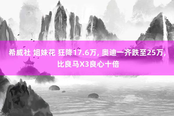 希威社 姐妹花 狂降17.6万， 奥迪一齐跌至25万， 比良马X3良心十倍