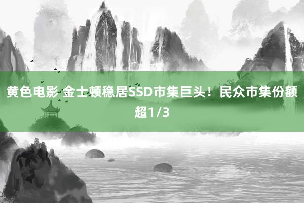 黄色电影 金士顿稳居SSD市集巨头！民众市集份额超1/3