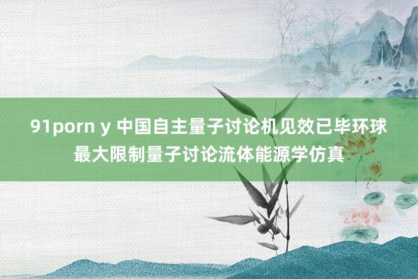 91porn y 中国自主量子讨论机见效已毕环球最大限制量子讨论流体能源学仿真