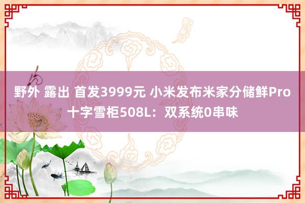 野外 露出 首发3999元 小米发布米家分储鲜Pro十字雪柜508L：双系统0串味