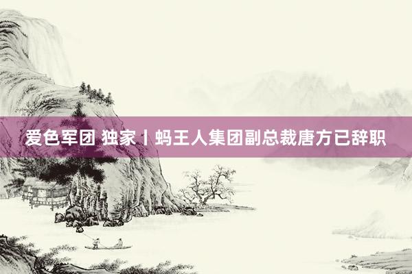 爱色军团 独家丨蚂王人集团副总裁唐方已辞职