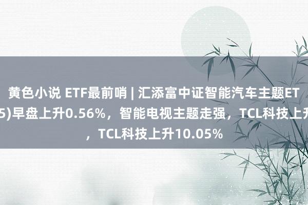 黄色小说 ETF最前哨 | 汇添富中证智能汽车主题ETF(159795)早盘上升0.56%，智能电视主题走强，TCL科技上升10.05%