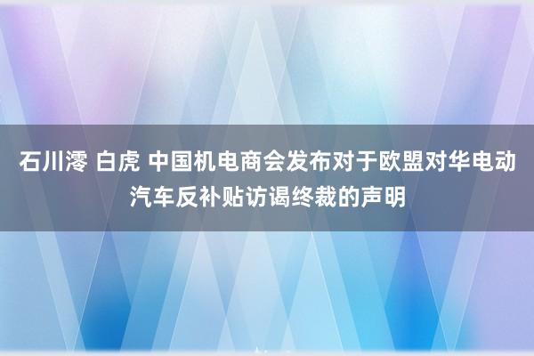 石川澪 白虎 中国机电商会发布对于欧盟对华电动汽车反补贴访谒终裁的声明