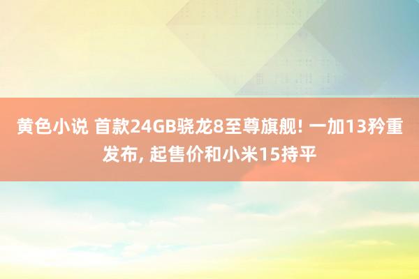 黄色小说 首款24GB骁龙8至尊旗舰! 一加13矜重发布， 起售价和小米15持平