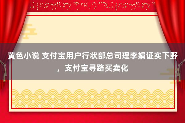 黄色小说 支付宝用户行状部总司理李娟证实下野，支付宝寻路买卖化