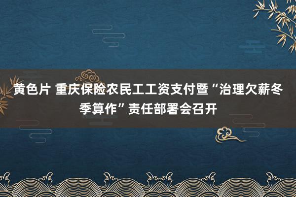 黄色片 重庆保险农民工工资支付暨“治理欠薪冬季算作”责任部署会召开