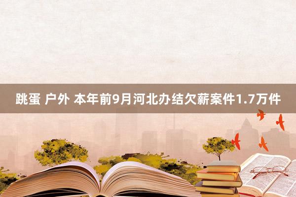 跳蛋 户外 本年前9月河北办结欠薪案件1.7万件