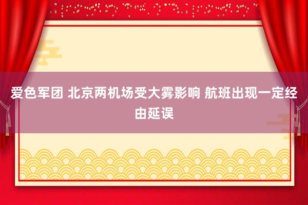 爱色军团 北京两机场受大雾影响 航班出现一定经由延误